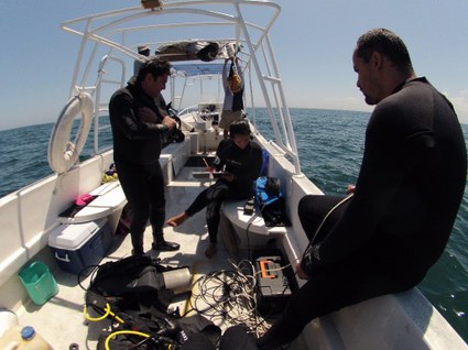 Estudio de Pepinos de mar
